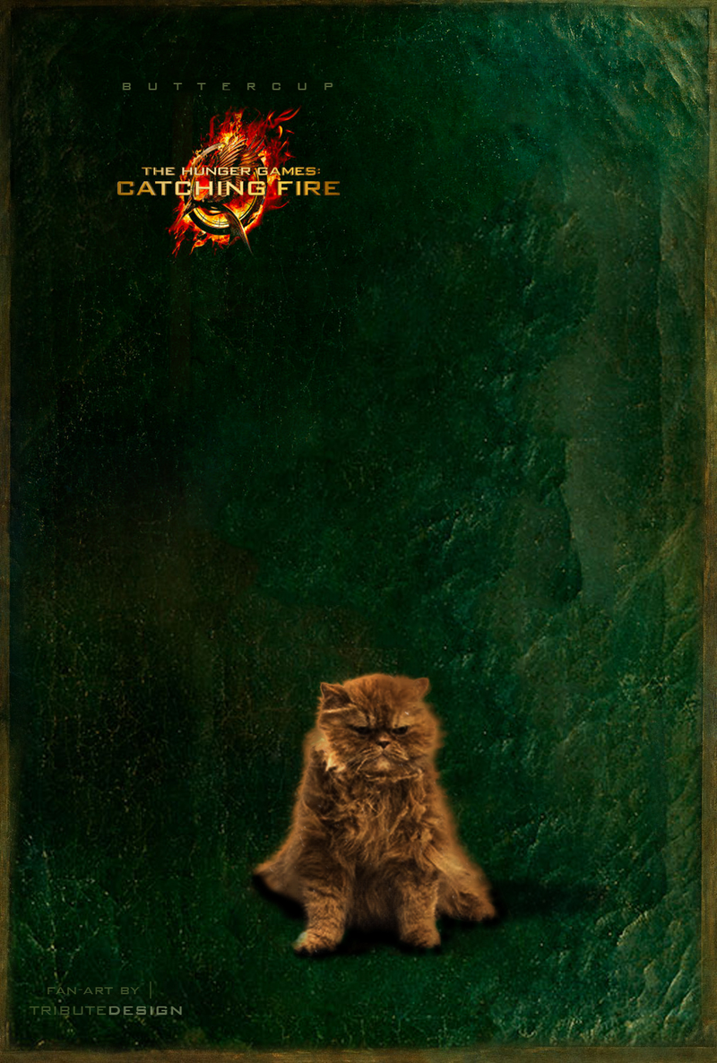 Illustration for article titled Catching Fire character poster pays tribute to the Hunger Games's unsung hero: Buttercup